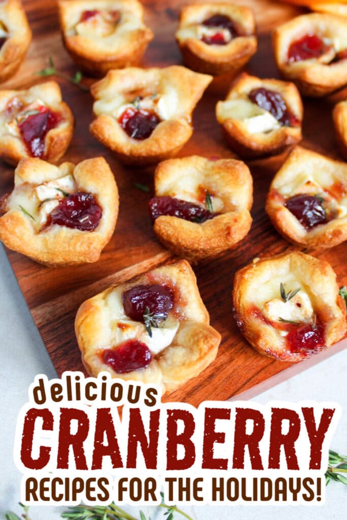 cranberry recipes - Cranberry Brie Bites