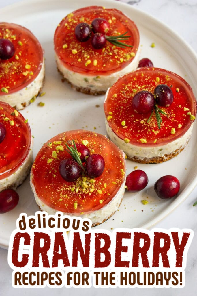 cranberry recipes - Pistachio Cranberry No-Bake Mini Cheesecakes