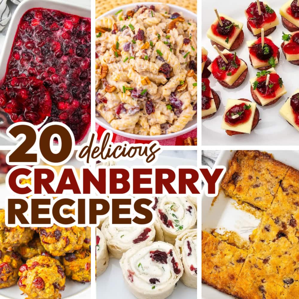 20 Best Cranberry Recipes
