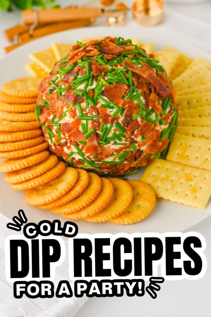 25+ Best Cold Dips for a Party 30 Cold Dip Recipes-Bacon Ranch Cheeseball