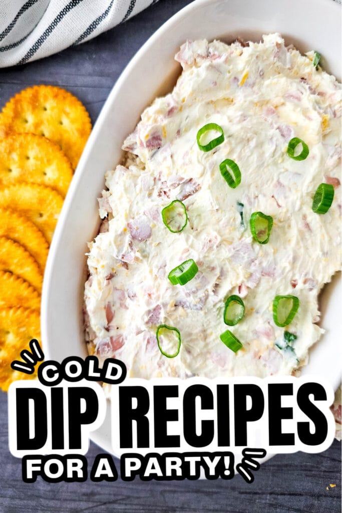 25+ Best Cold Dips for a Party 27 Cold Dip Recipes-Cold Cheesy Ham Dip