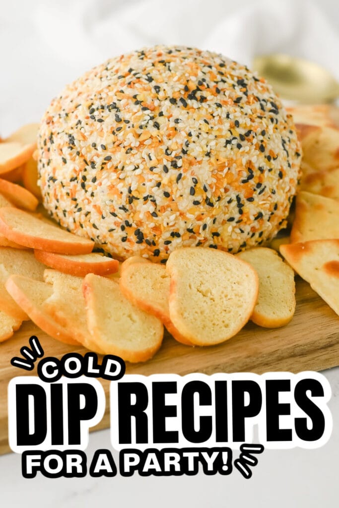25+ Best Cold Dips for a Party 29 Cold Dip Recipes-Everything Bagel Cheeseball