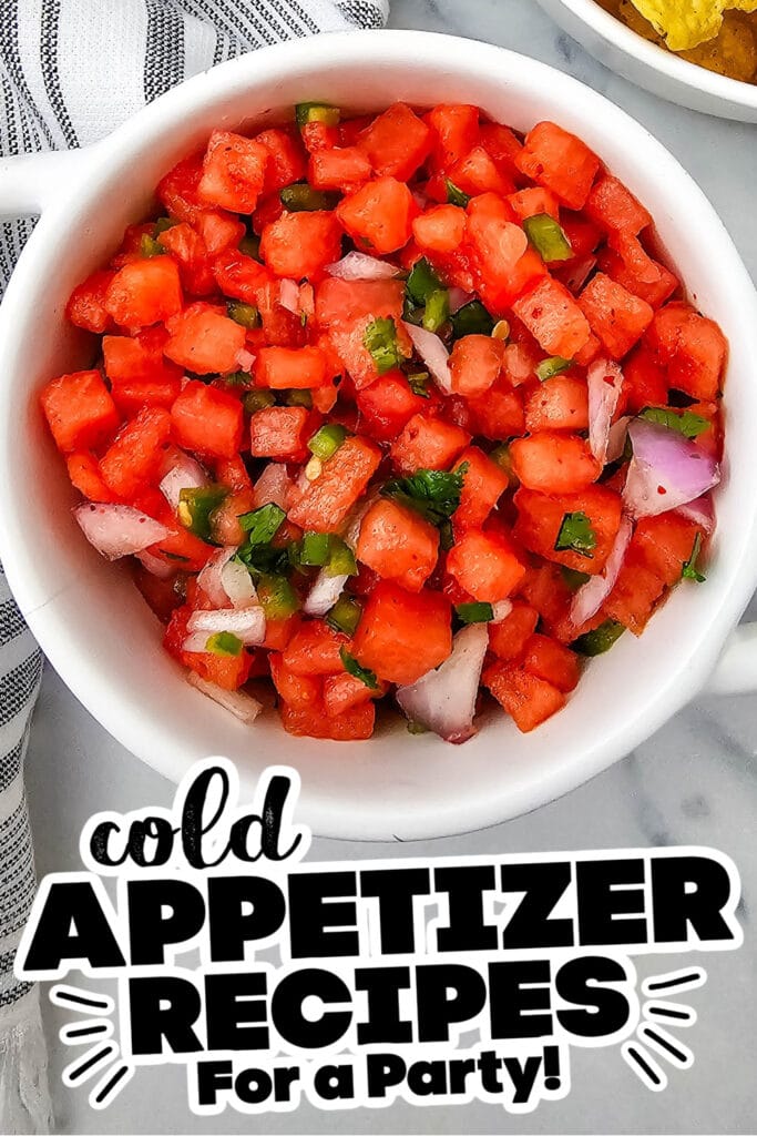 60 Cold Appetizer Ideas for a Party 45 cold appetizer - Fresh Watermelon Salsa