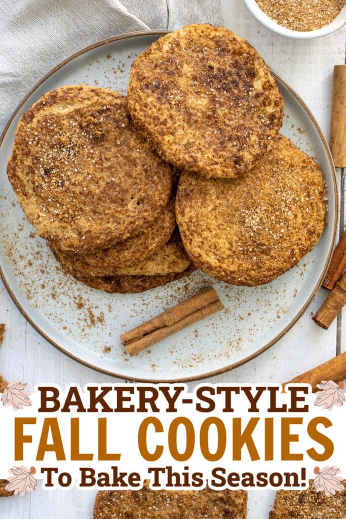 fall cookies - Cinnamon Sugar Cookies