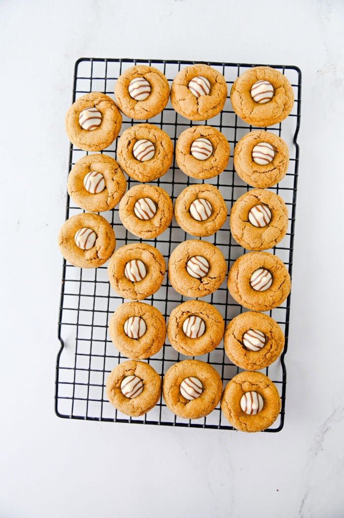 Gingerbread Cookies Process Photo